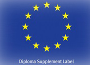 dslabel