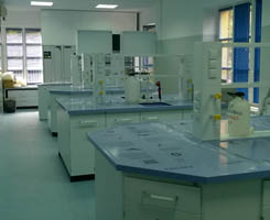Lab Lab